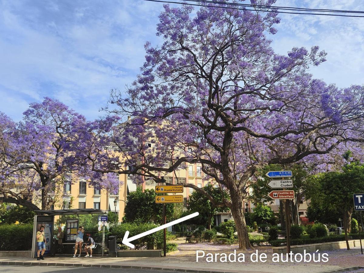 M&D Centro Malaga Lägenhet Exteriör bild